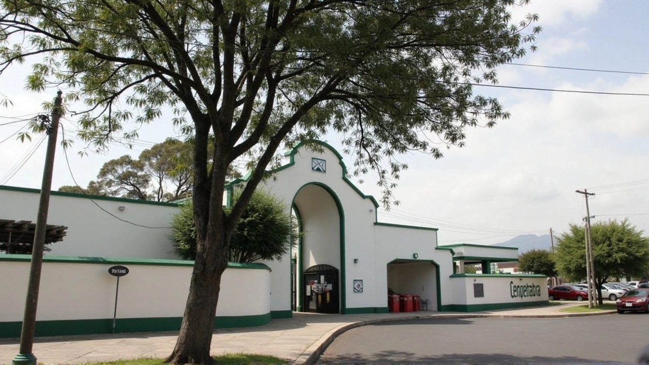 Programação Especial Agita Cemitérios na Baixada Santista no Dia de Finados